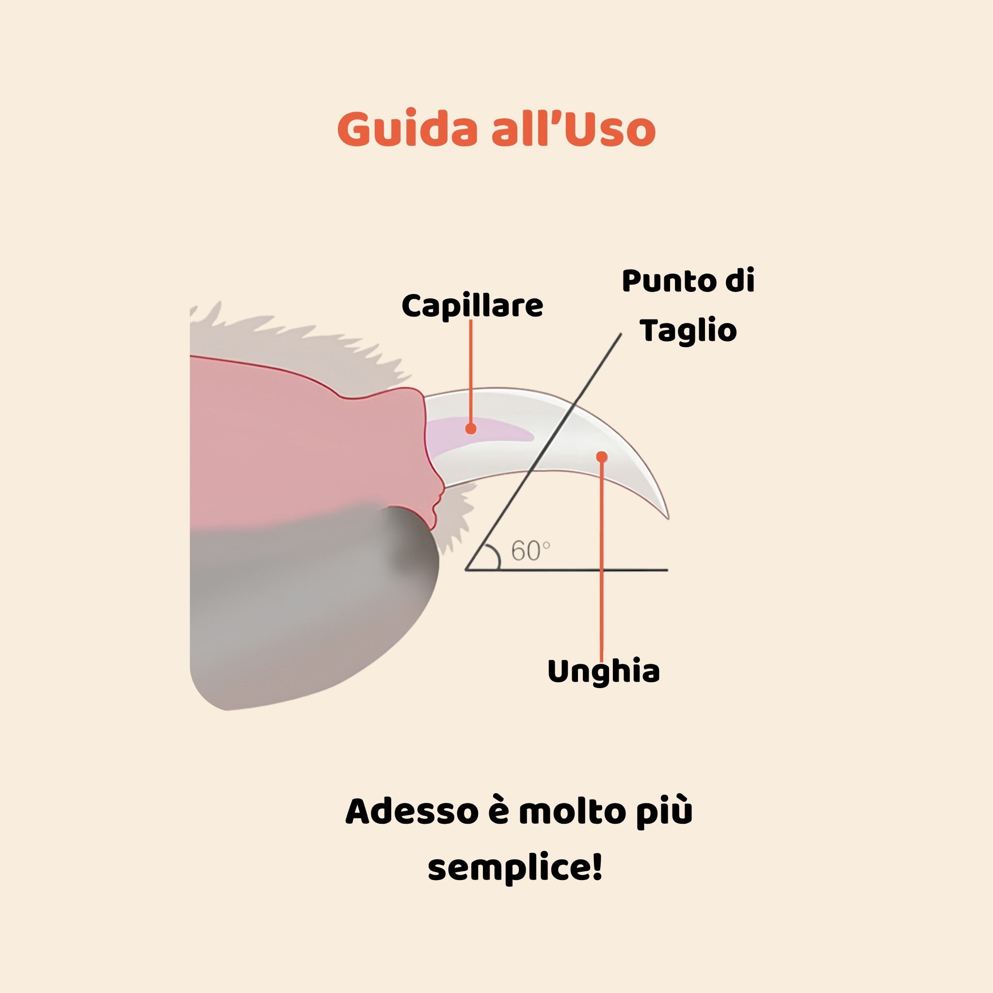 Tagliaunghie con Luce LED per Cani e Gatti